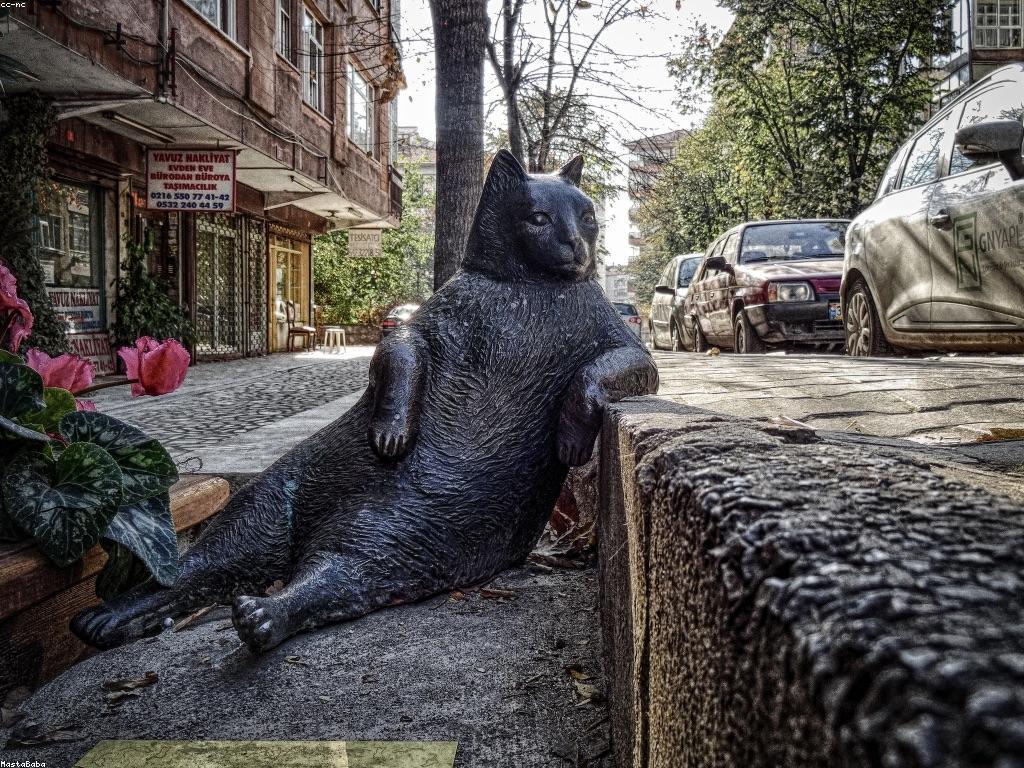 ការយល់ដឹងអំពីភ្នាល់ និងលេខកូដ