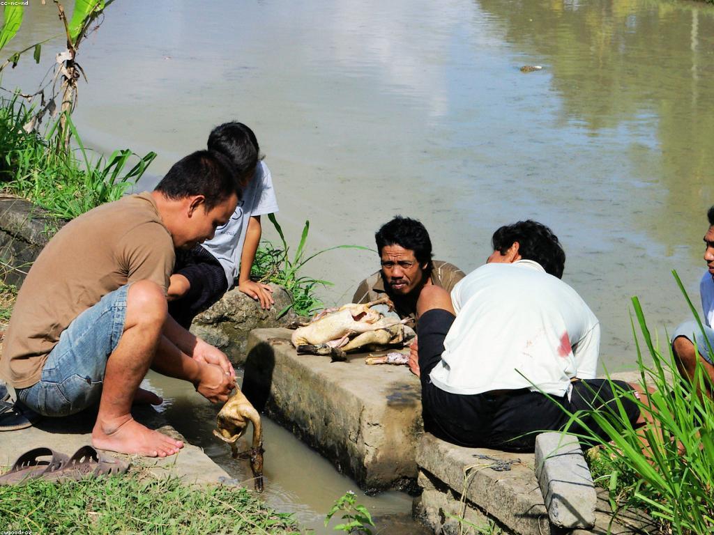 ការយល់ដឹងអំពីវប្បធម៌ភ្នាល់